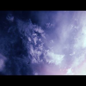 Meet your Posher, Lily